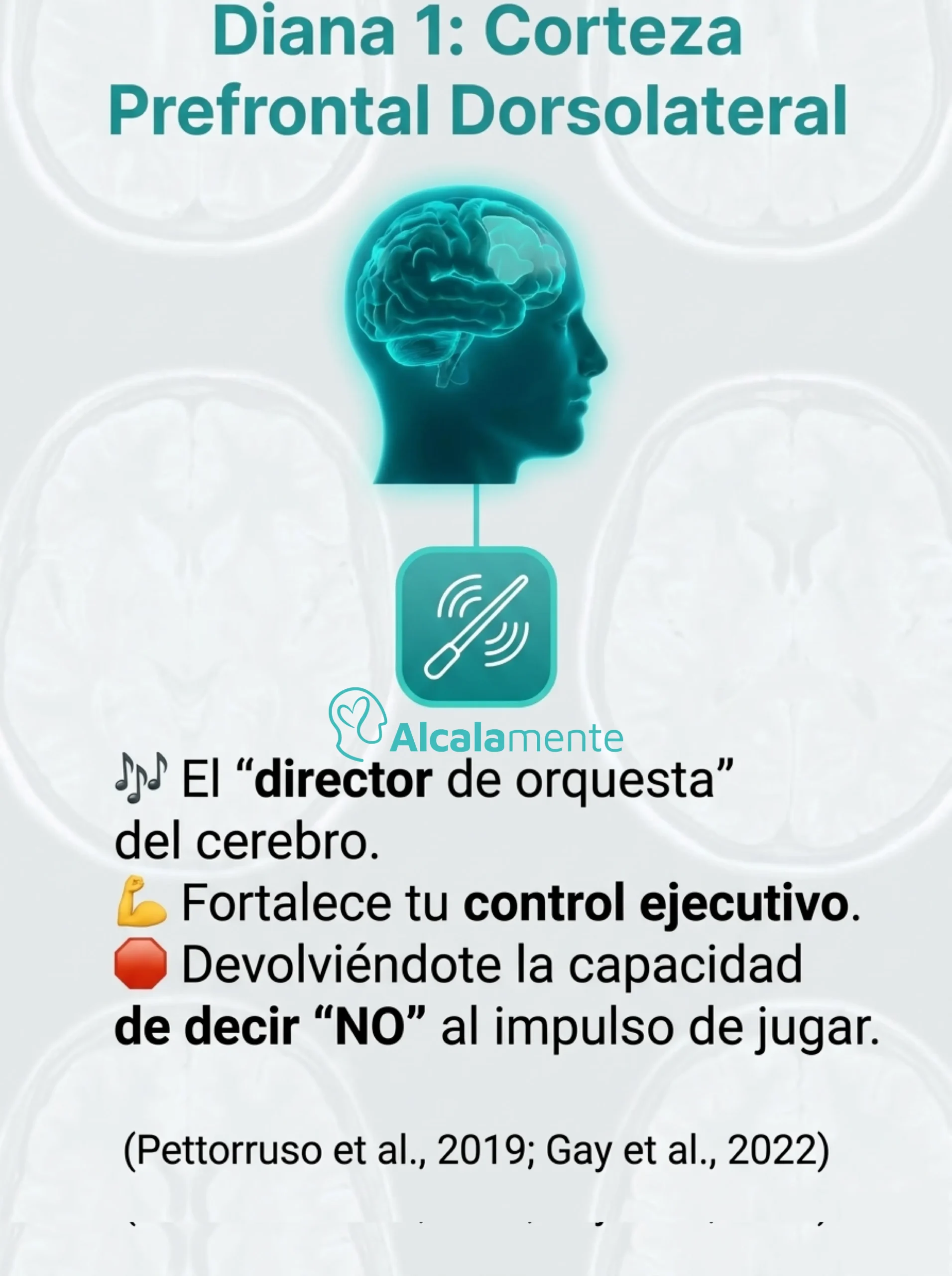 Diana CPFDL Alcalamente