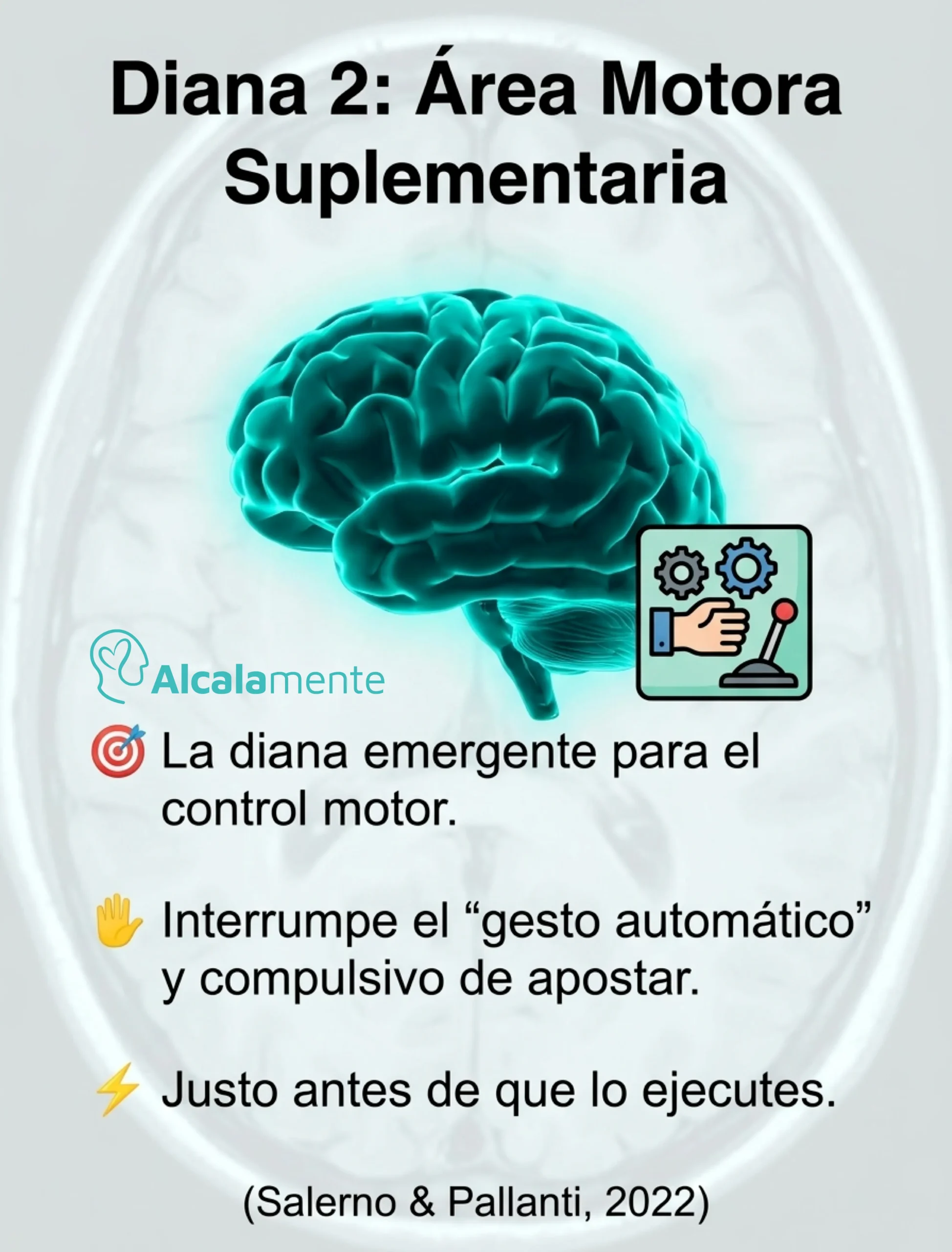 Diana Pre-SMA Alcalamente