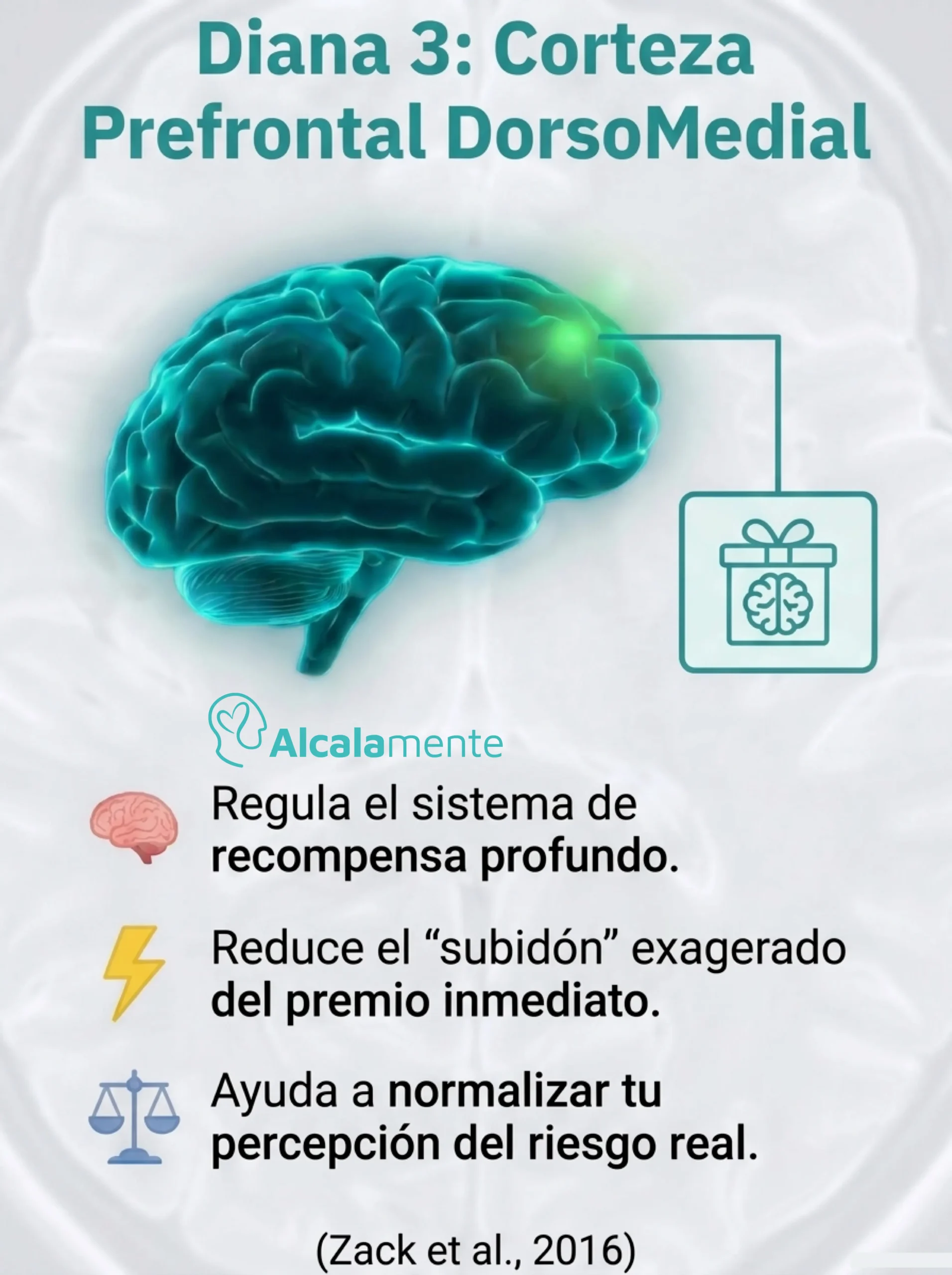Diana mPFC Alcalamente