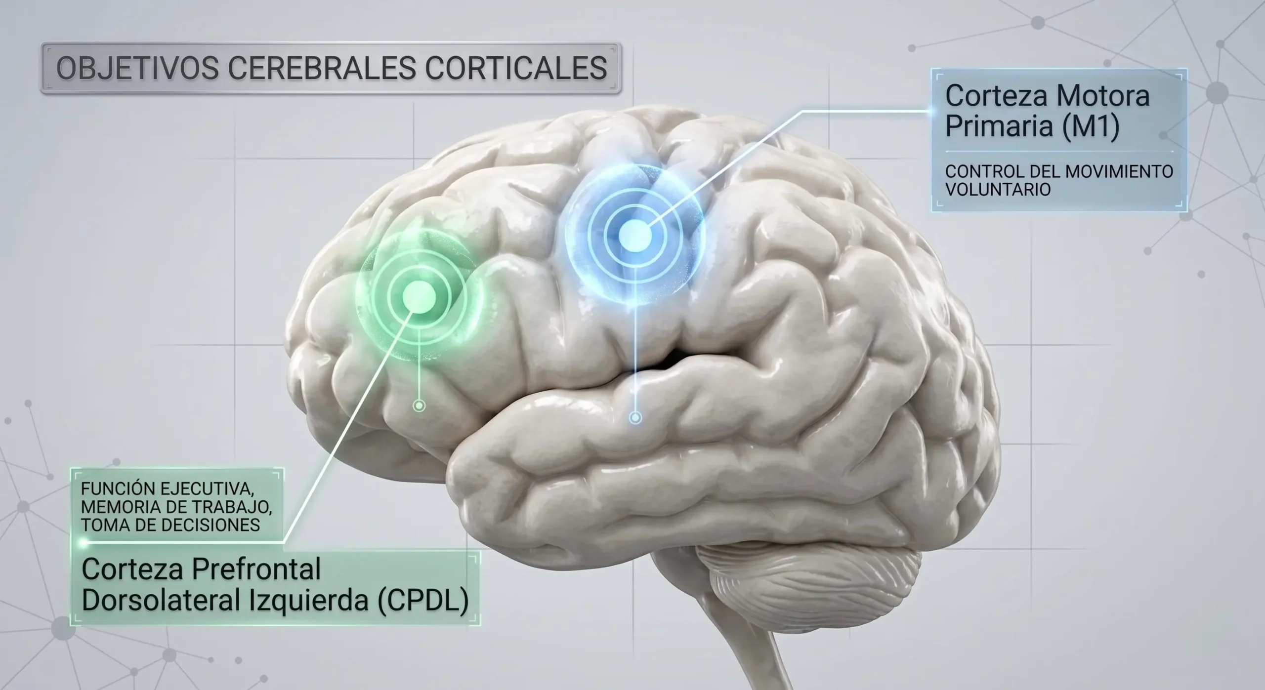 Dianas corticales M1 y CPFDL en el tratamiento de migraña con EMT